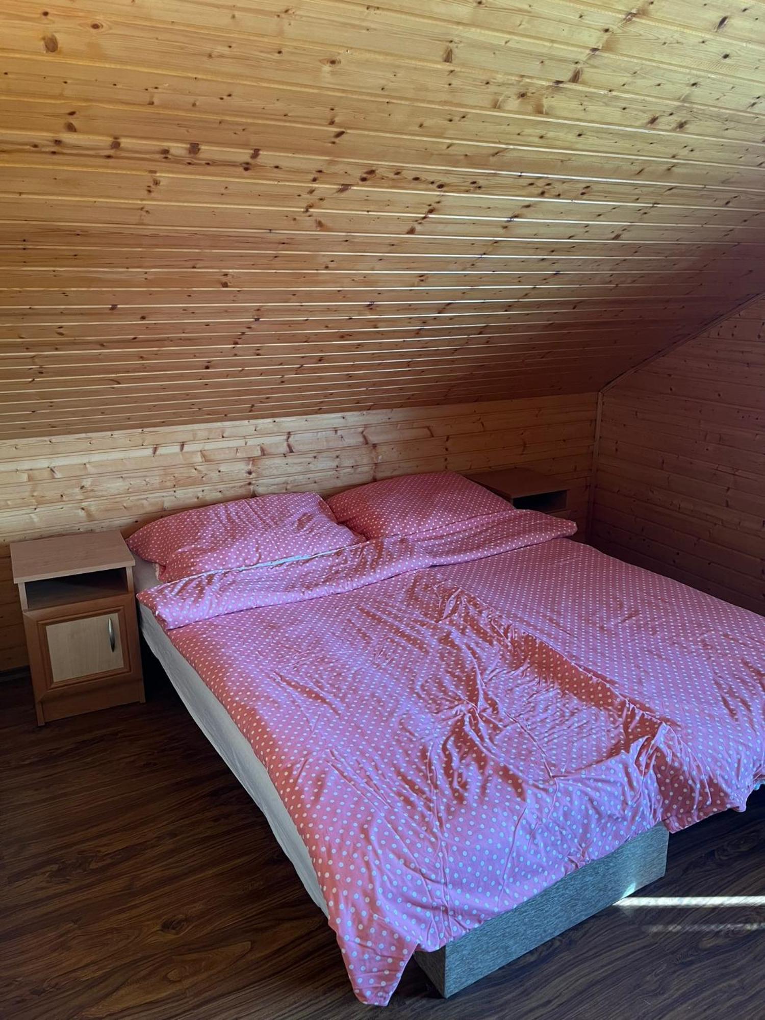Nimrod Apartman Gabcikovo エクステリア 写真